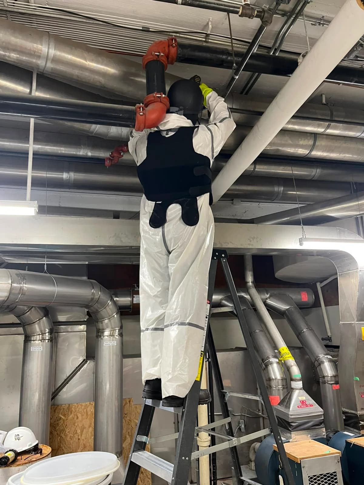 Technician checking laboratory exhaust services above a fume hood